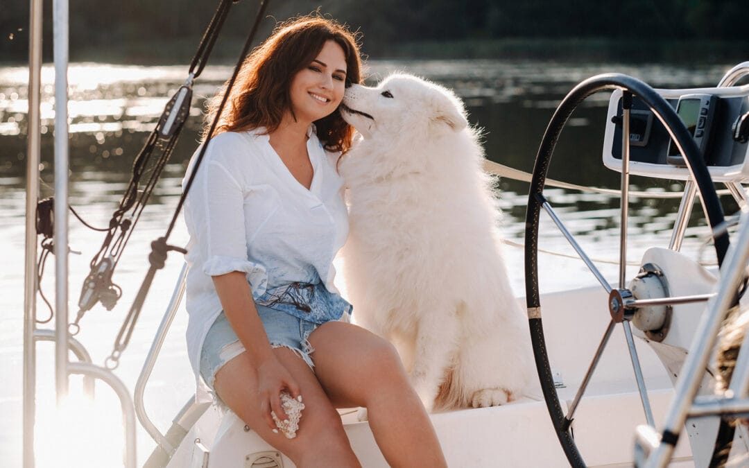 Sailing With Dogs | Top Tips